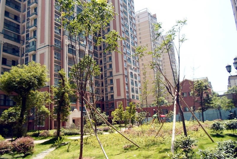 湖南新金鴻置業.蝴蝶谷-湖南電梯工程